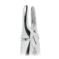 0100-29 FORCEPS RAICES SUP.