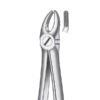 7 FORCEPS PREMOLAR SUPERIOR