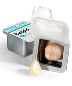 50617 CORONAS CUSPIDE GRAN. 5u.