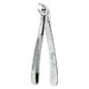 0100-33 FORCEPS RAICES INF.