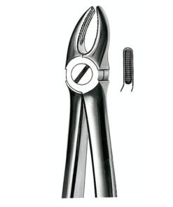 E7 FORCEPS N.7 PREMOLAR SUP.