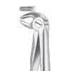 13D FORCEPS PREMOLAR INF.DIAMA