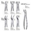 LS18 FORCEPS MOLAR SUP. IZQ. LIQUID STEEL