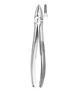 29 FORCEPS