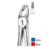 M116 FORCEPS PREMOLARES SUP.