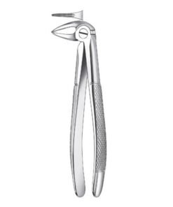 133 1/2 FORCEPS RAICES INFER.