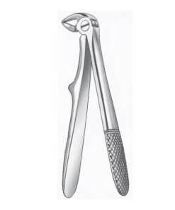 280A/7 F.KLEIN NIÑO RAIZ.INF