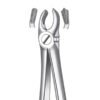 M2017 FORCEPS MOLAR SUP. DCHO.