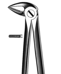 M2033A FORCEPS RAICES INF.