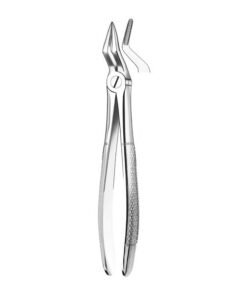 M2051 FORCEPS RAICES SUPERIOR.