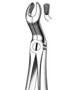 M2067A FORCEPS RAICES