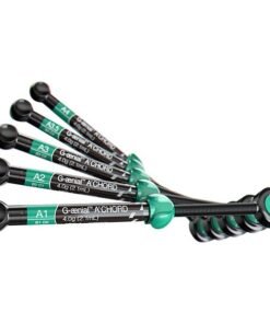 AO2 GAENIAL ACHORD JER. 4g. 10006748