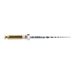 LIMAS PROTAPER GOLD S2 31mm. 6u. (A0410-2)