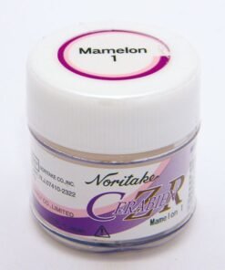 INTENS. DENTINA MAMELON 1 10gr. CERABIEN CZR